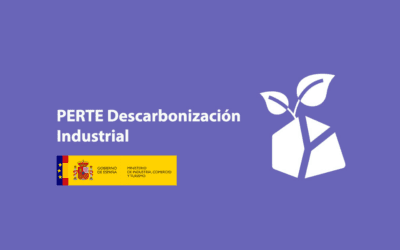 PERTE Descarbonización industrial