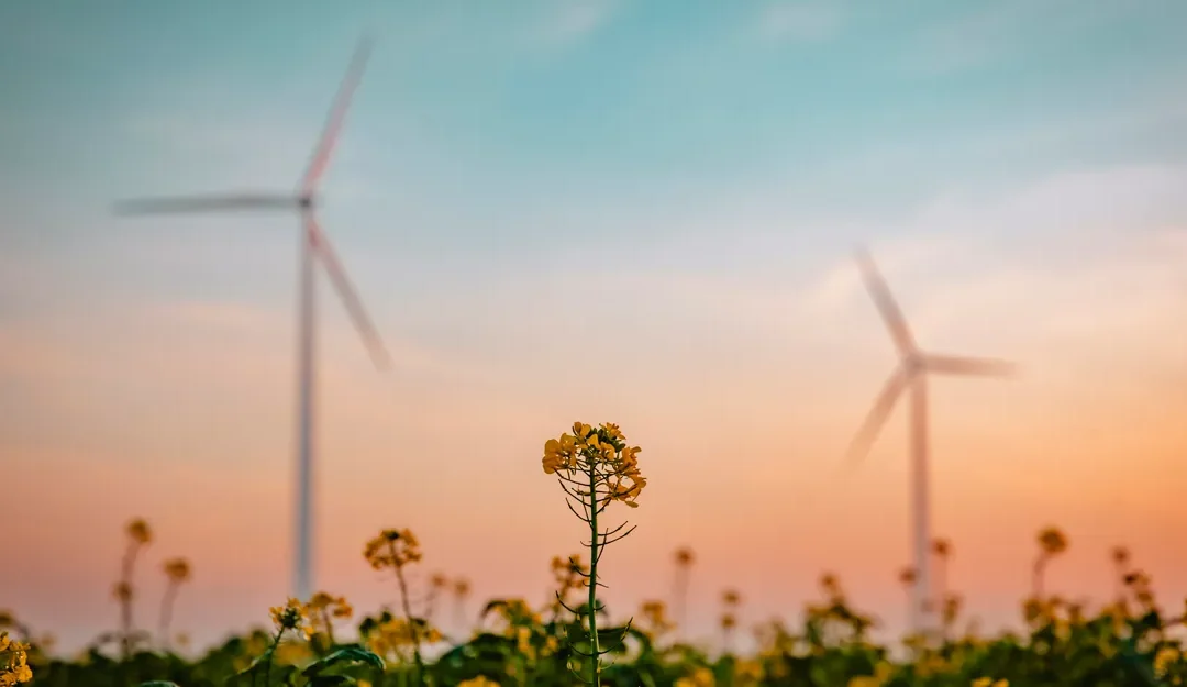 Energía limpia y crecimiento económico