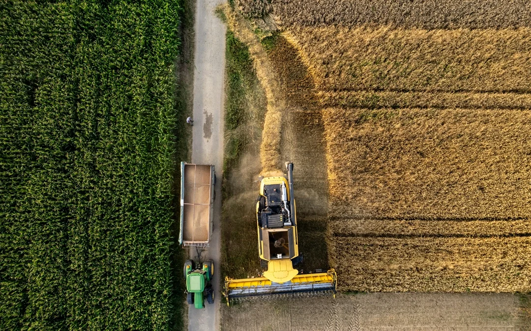 PERTE Agroalimentario: la modernización de la industria