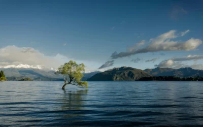 Riesgo climático: previsión de crecimiento