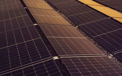 Energía solar fotovoltaica: innovaciones, crecimiento y tendencias