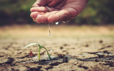 IA, progreso y desigualdad: tecnología al servicio de la humanidad