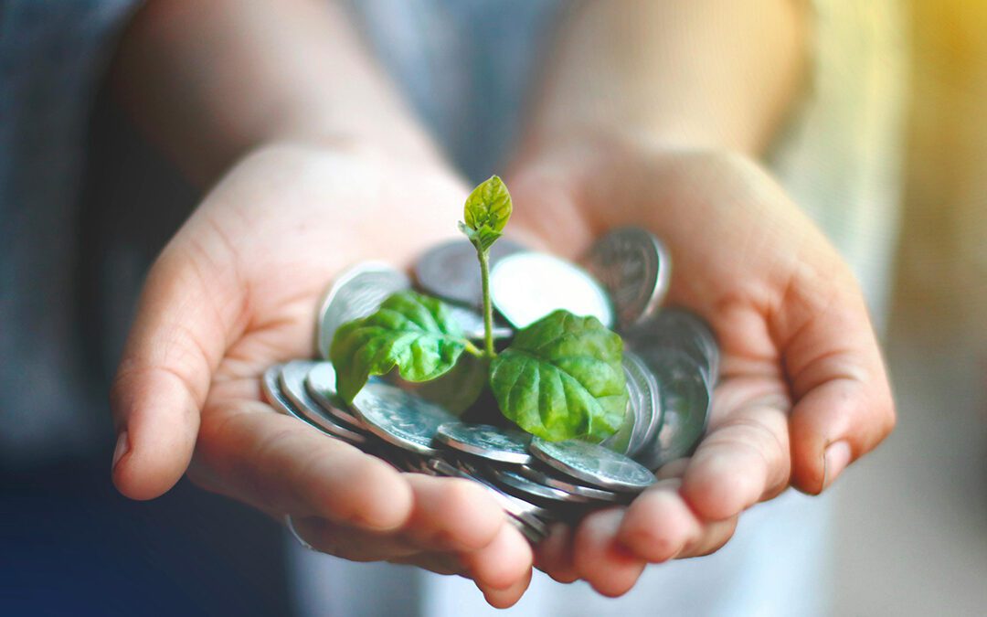 Finanzas de la transición ecológica: complemento a la financiación verde