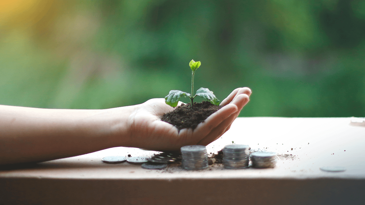 Finanzas verdes Finanzas verdes